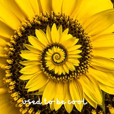 ep96 - Songs for Springtime