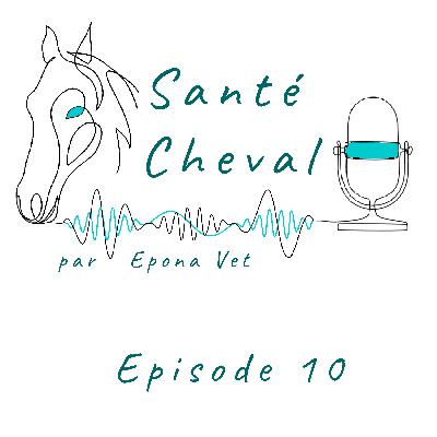 Ep. 10 – Piro-Like, les maladies (part 2)