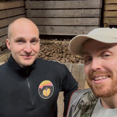 BONDEN: Vesterålspotet – Om potet, risiko og et system med skjev maktfordeling