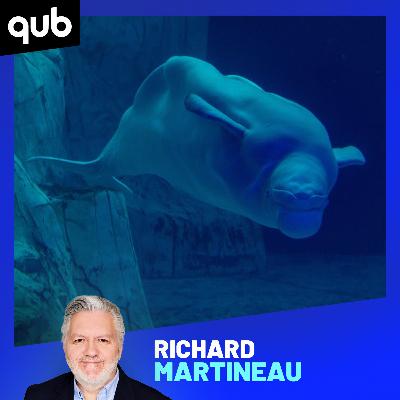 Bélugas menacés d’euthanasie: «À Marineland, ça a été bâti dans les années ‘60, on n’a jamais réparé les machines», rappelle cet entraîneur
