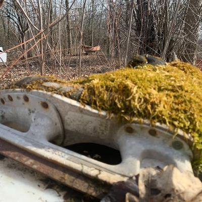 Secrets of the Bay – Chapter 5