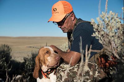 Episode 127 - Year One Building the Hunting Dog Foundation