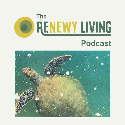 22. What's Threatening Lake Macquarie's Green Sea Turtles? With Hunter Wildlife Rescue