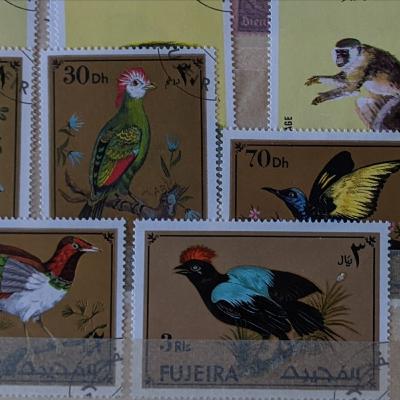 Folge 07: Mörderische Spoiler