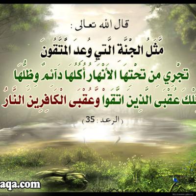 نونية ابن القيم رحمه الله في وصف الجنة بصوت ابو عبدالملك