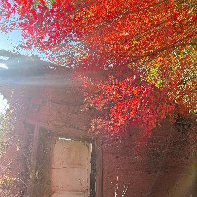 Vol 84 时间是一条河,还是一个圆?|印度哲学中的时间观与生命向度 Vol 84 时间是一条河,还是一个圆?|印度哲学中的时间观与生命向度