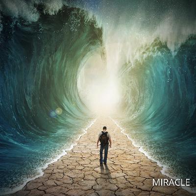 Qu'est-ce qu'un Miracle ?