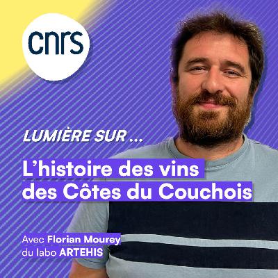 Lumière sur... L'histoire des vins des Côtes du Couchois