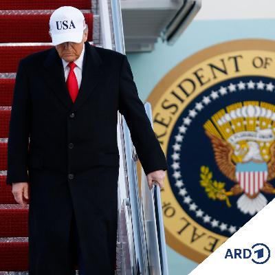 Streit um Grönland - Wie geht es nach Trumps Zollplänen weiter?