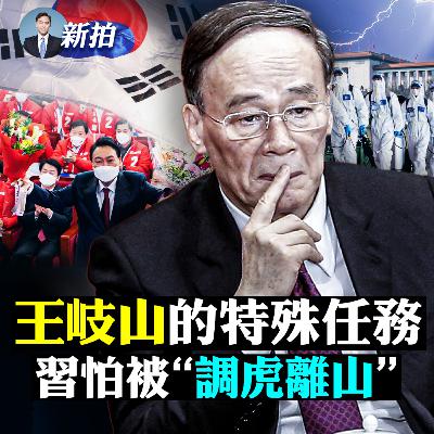 【新聞拍案驚奇】💥王岐山訪韓洩底！信息量很大，包括跟習真實關係，20大後留任？習不出國，一怕被“調虎離山”，二怕啥；杭州“土地廟“採樣應普及全國；習堅持清零、強壓異議，體制內也不解；“大白”招鬼？