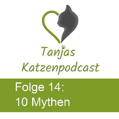 10 Mythen über Katzen, die falsch sind!
