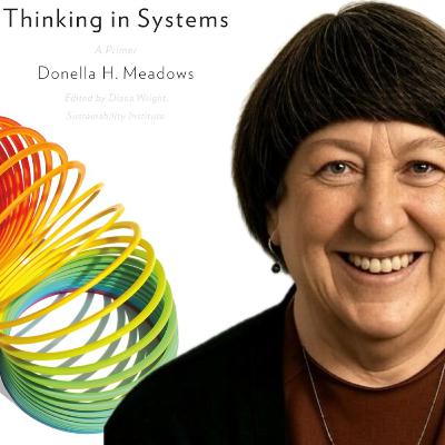 114 - Thinking in Systems by Donella Meadows