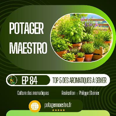 Top 5 des aromatiques à semer en février-mars pour parfumer l'été 🌿