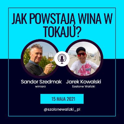 Jak powstają tokajskie wina w Szedmak Borhaz - rozmowa z Sandorem Szedmakiem