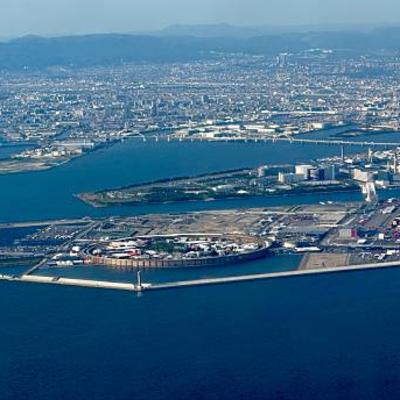#316大阪万博で見かけた鳥の話など