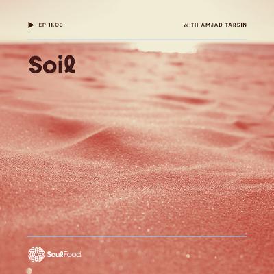 Episode 11.9 - Soil