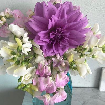 Broke Speakers 46 Broke Speakers 46