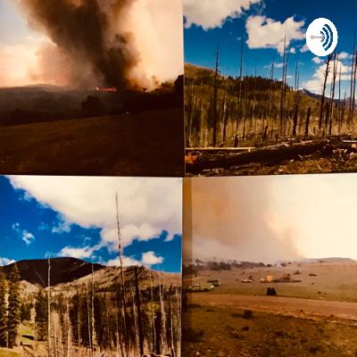 Wildfires and Global Climate Changes Wildfires and Global Climate Changes