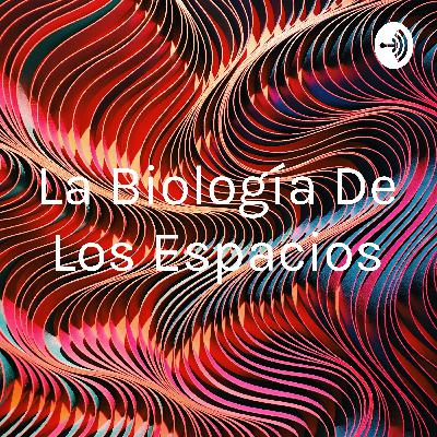 La meditación es fácil