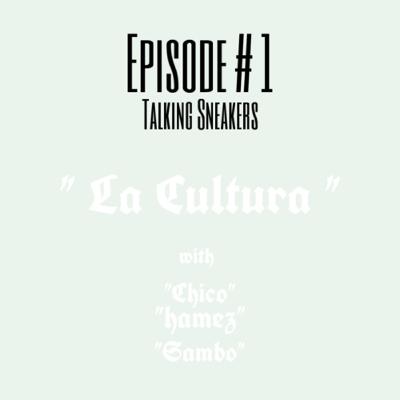 Ep # 1 Talking Sneakers (Sambo Out)