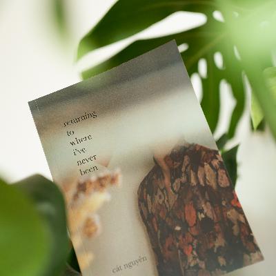 sunday libraries #43 - returning to where i've never been