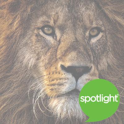 A Lion Called Christian A Lion Called Christian