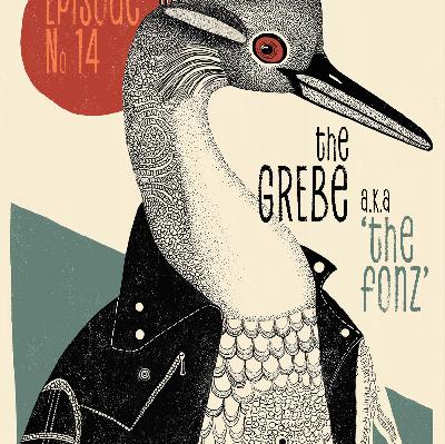 Grebes a.k.a. 'The Fonz of Waterbirds'