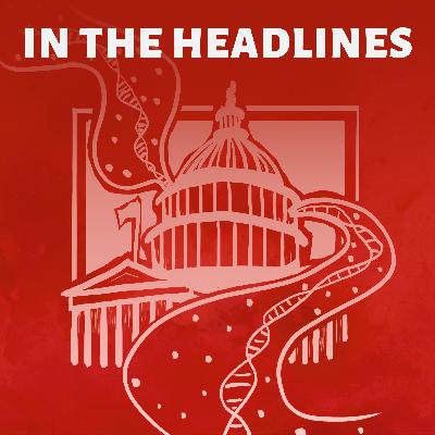 “There is no safe harbor:” FY26 funding bill collapses after ICE shooting of Alex Pretti