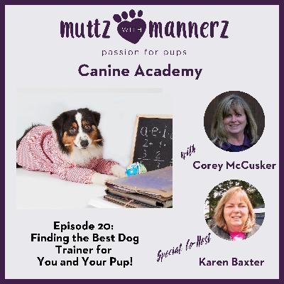 Finding the Best Dog Trainer For Your Pup!