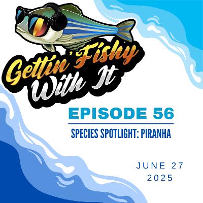 Species Spotlight: Pirahna