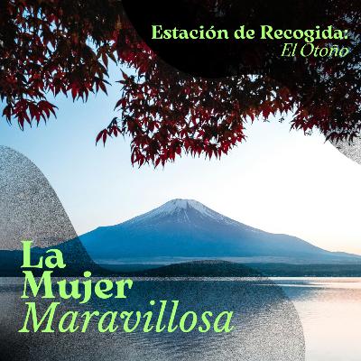 Estación de Recogida: El Otoño