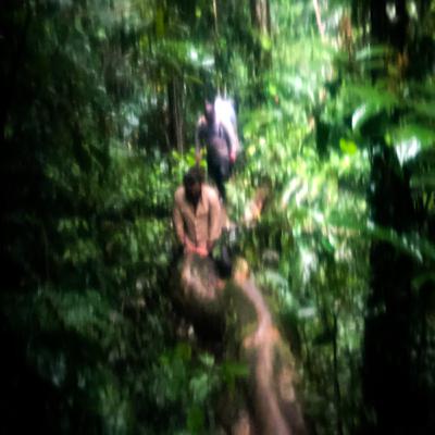 האמזונס : יום 4 - Inor the boneless.