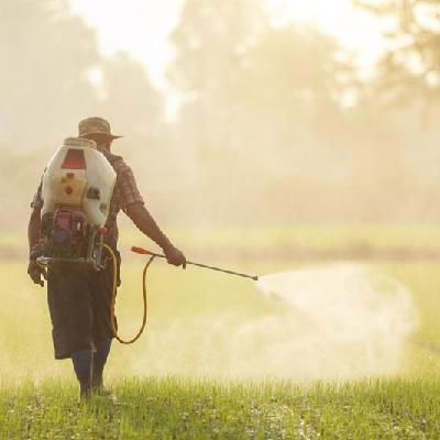 La Ciencia | ¿Una agricultura sin pesticidas es posible?