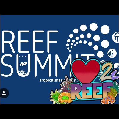 Love 2 Debrief - Reporting Back On Our Week on the Road | The Prestige Reef Dork Show Ep 94