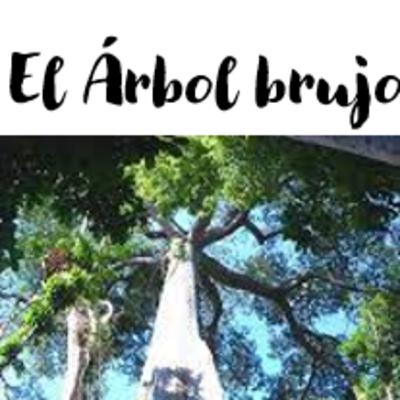 El árbol Brujo