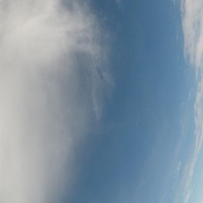 Kjønnsforskjeller og kjønnsroller innenfor idrett