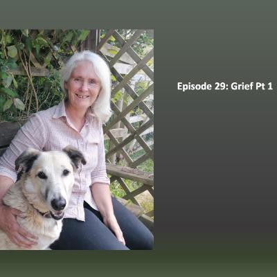 The Anthrozoology Podcast - Grief #29 Pt 1