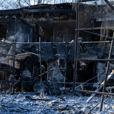 Наслідники удару по харківському екопарку: в якому стані тварини Наслідники удару по харківському екопарку: в якому стані тварини