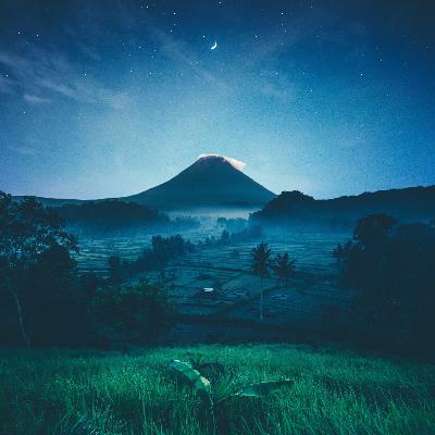 Siddharthas filosofías contemporáneas