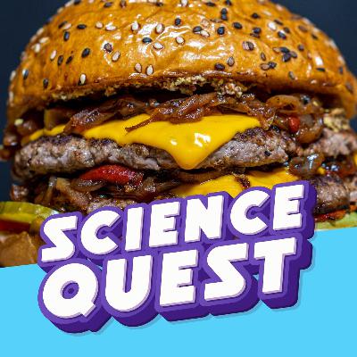 Why Does Food Taste Better When We’re Hungry?😋🍔