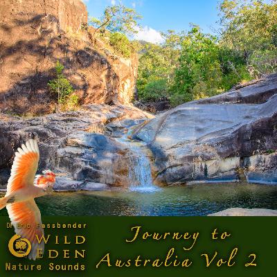 Episode 20 - A Walk in the Woods - Album Journey to Australia - Vol. 2 Episode 20 - A Walk in the Woods - Album Journey to Australia - Vol. 2