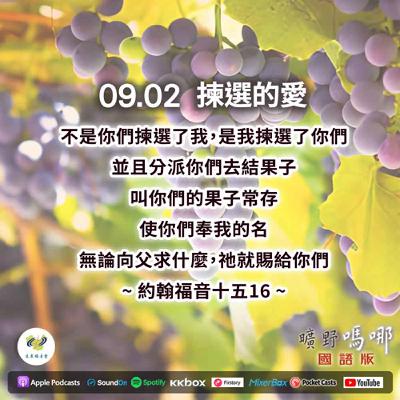 曠野嗎哪-揀選的愛