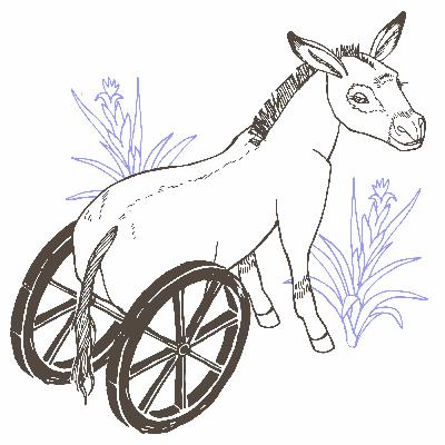 A Mule-Drawn Carriage