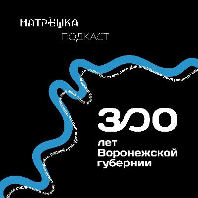 300 лет Воронежской Губернии: Воронеж строит корабли 300 лет Воронежской Губернии: Воронеж строит корабли