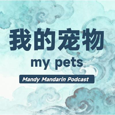 ep.12 my pets 我的宠物