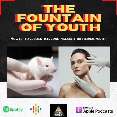 Fountain Of Youth Fountain Of Youth