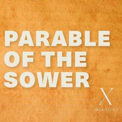 A Sermon On Discipleship - Unstoppable Revolution - Mattias Demaerel