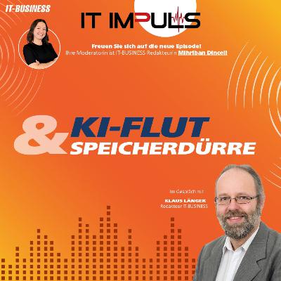 #15 – KI-Flut und Speicherdürre #15 – KI-Flut und Speicherdürre