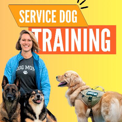 Ep. 30 - How to Train a Life-Changing Service Dog: Expert Secrets Revealed