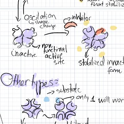 Enzymes- Episode 11#